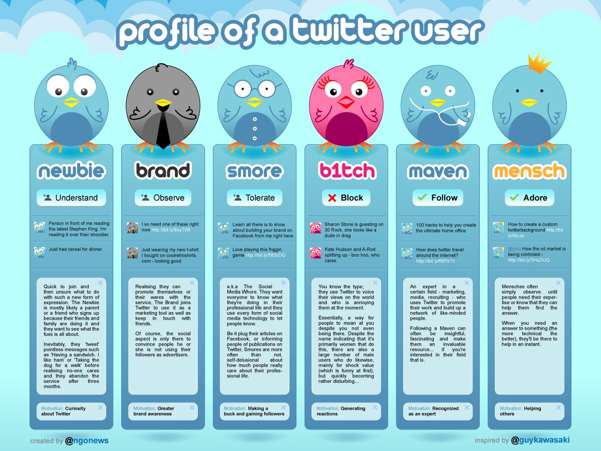 infographic image of profiles and types of users on twitter
